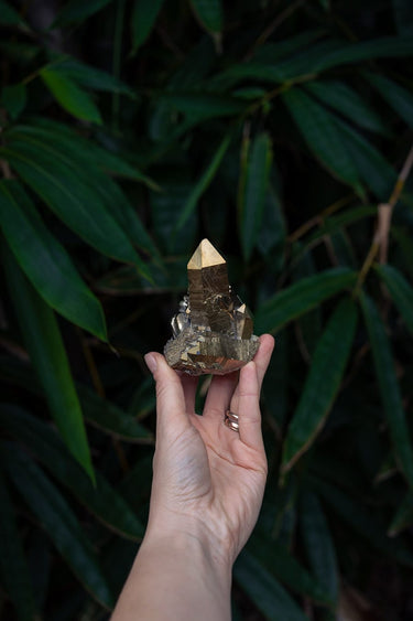 Golden Aura Cluster